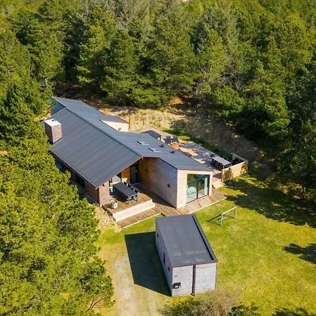Bv258-blavand-sandvej-14 Ferienhaus Blåvand